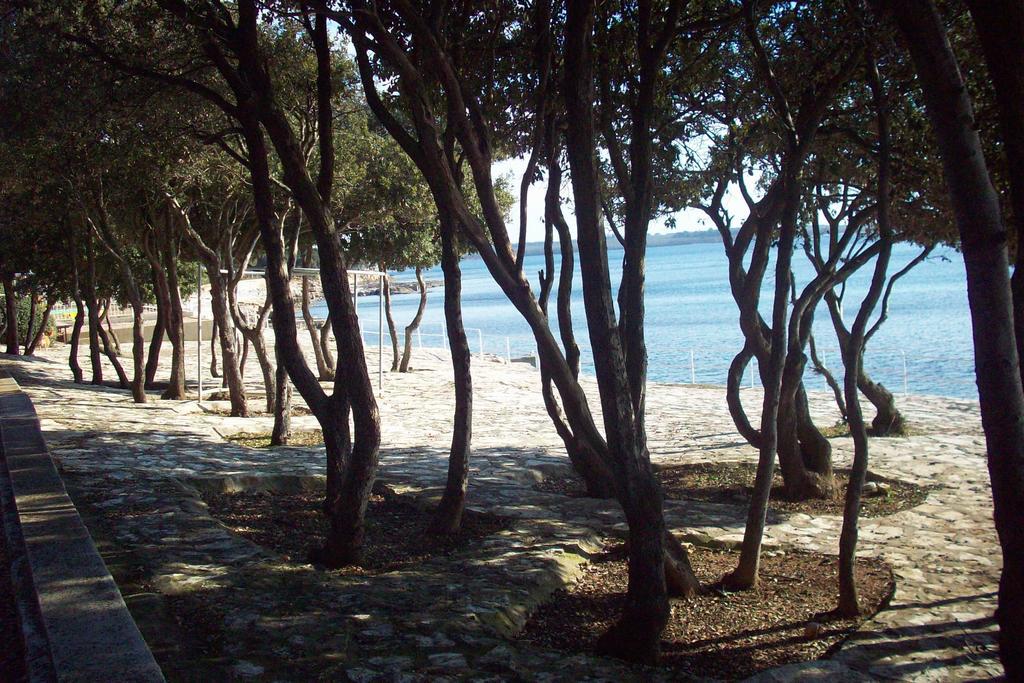 Apartmenthaus Sabine Nova Vas (Porec)